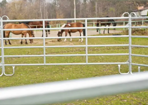 Stalowa zagroda dla koni